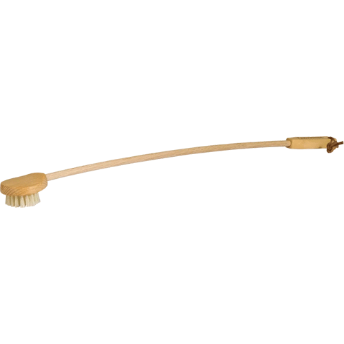 Rygbørste