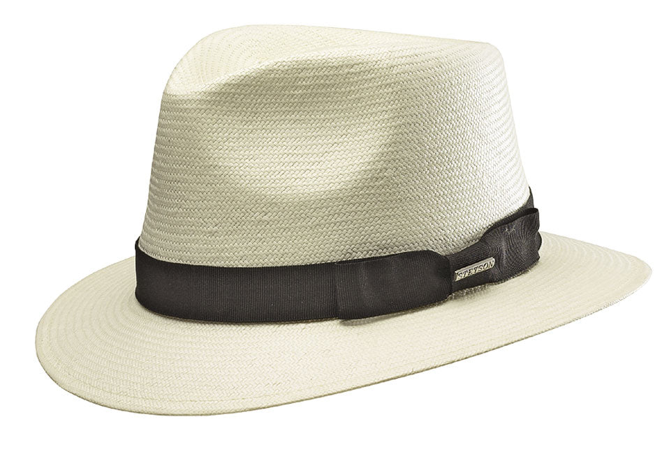 Traveller Toyo