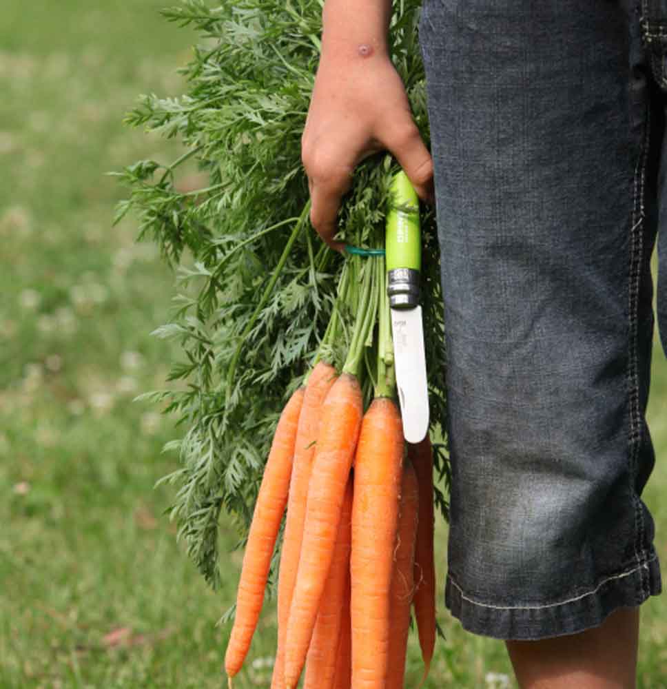 Børnelommekniv No7 Grøn