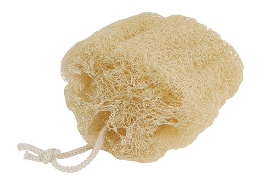 Loofah svamp