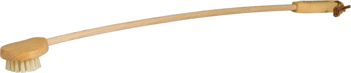 Rygbørste